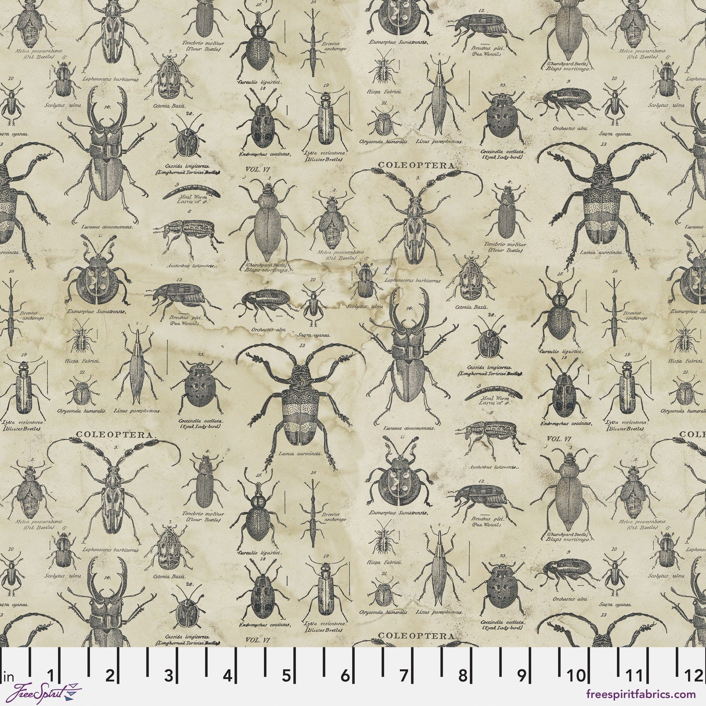 Specimen Neutral Eclectic Elements LABORATORY Tim Holtz 100% Quilters Cotton Fabric Fetish