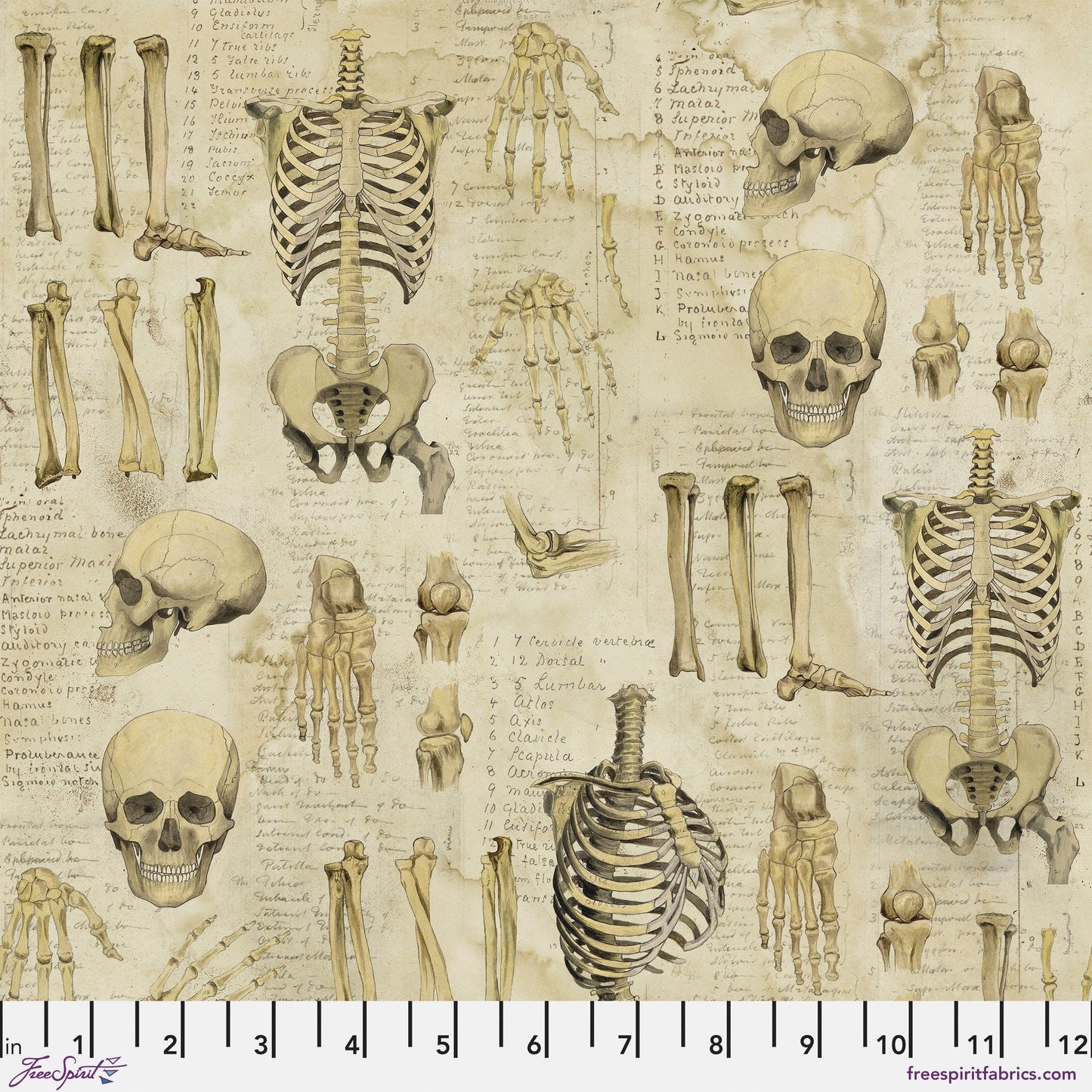 Anatomy Neutral Eclectic Elements LABORATORY Tim Holtz 100% Quilters Cotton Fabric Fetish