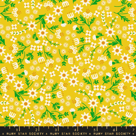 Ditsy Garden Golden Hour Favorite Flowers Melody Miller Ruby Star Society Fabric Moda 100% Quilters Cotton Fabric Fetish
