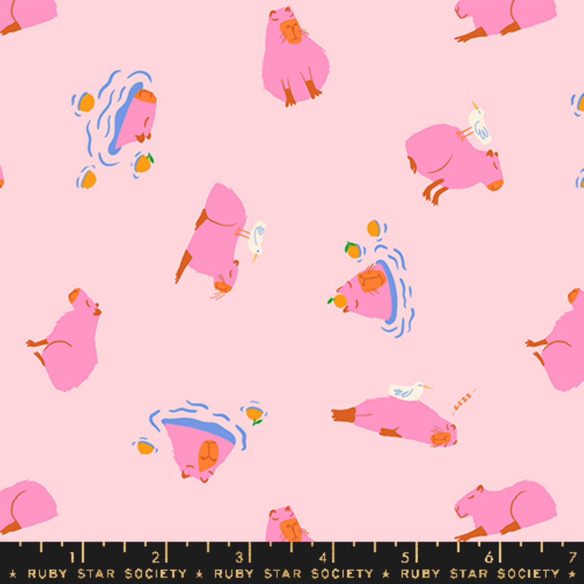 Capybara Cotton Candy Animal Animal Ruby Star Society and Moda Fabrics Fabric Fetish