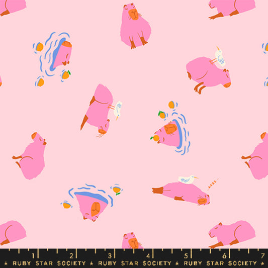 Capybara Cotton Candy Animal Animal Ruby Star Society and Moda Fabrics Fabric Fetish