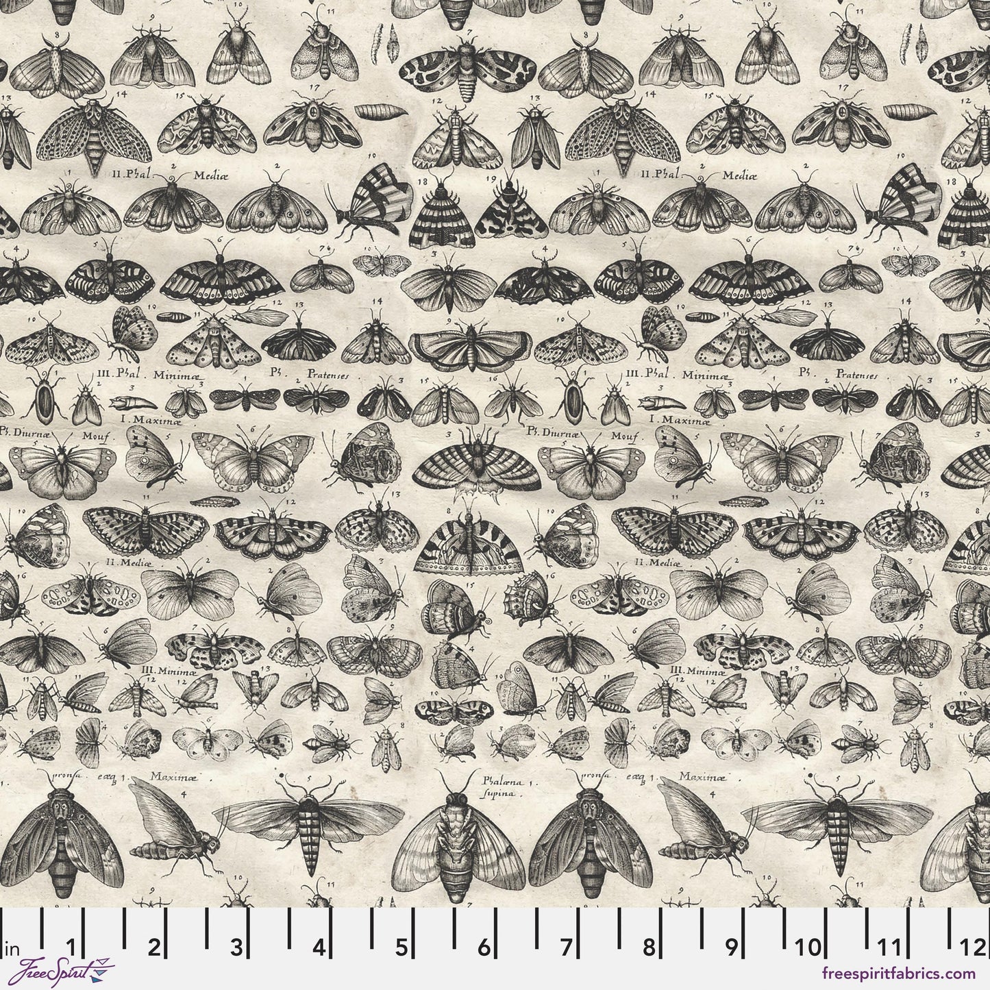September - Palette Charcoal - 10pc Fat Quarter or Half Yard Bundles- Eclectic Elements - Tim Holtz - FreeSpirit Fabrics