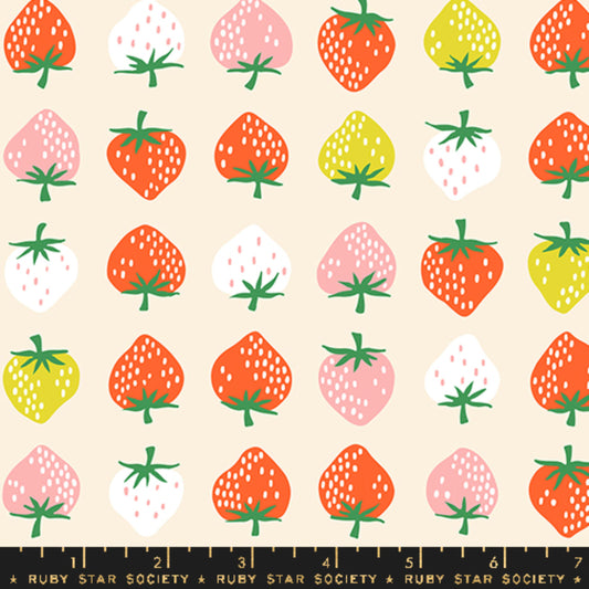 Strawberry Row Shell Strawberry Kimberly Kight Ruby Star Society Moda Fabric Fetish