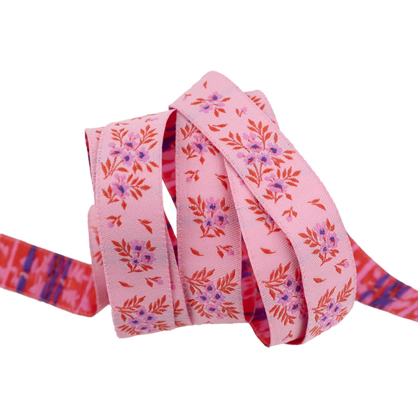 What a Ditz - 2025 True Colors - Tula Pink - Renaissance Ribbon