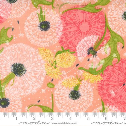 Dandelions Peach Dandi Duo Robin Pickens Moda Fabric Fetish