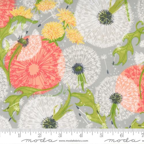 Dandelions Slate Dandi Duo Robin Pickens Moda Fabric Fetish