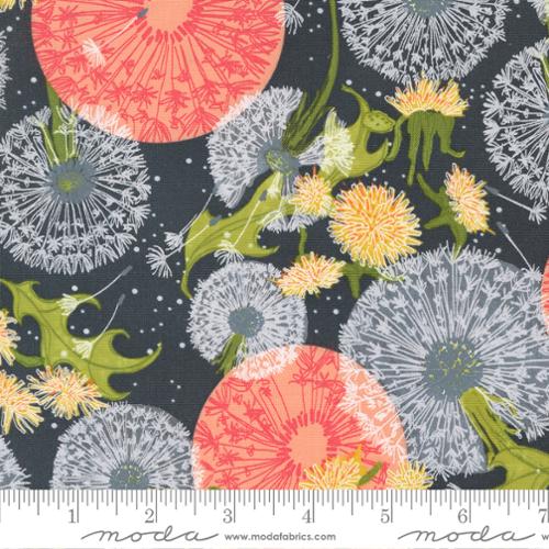 Dandelions Graphite Dandi Duo Robin Pickens Moda Fabric Fetish