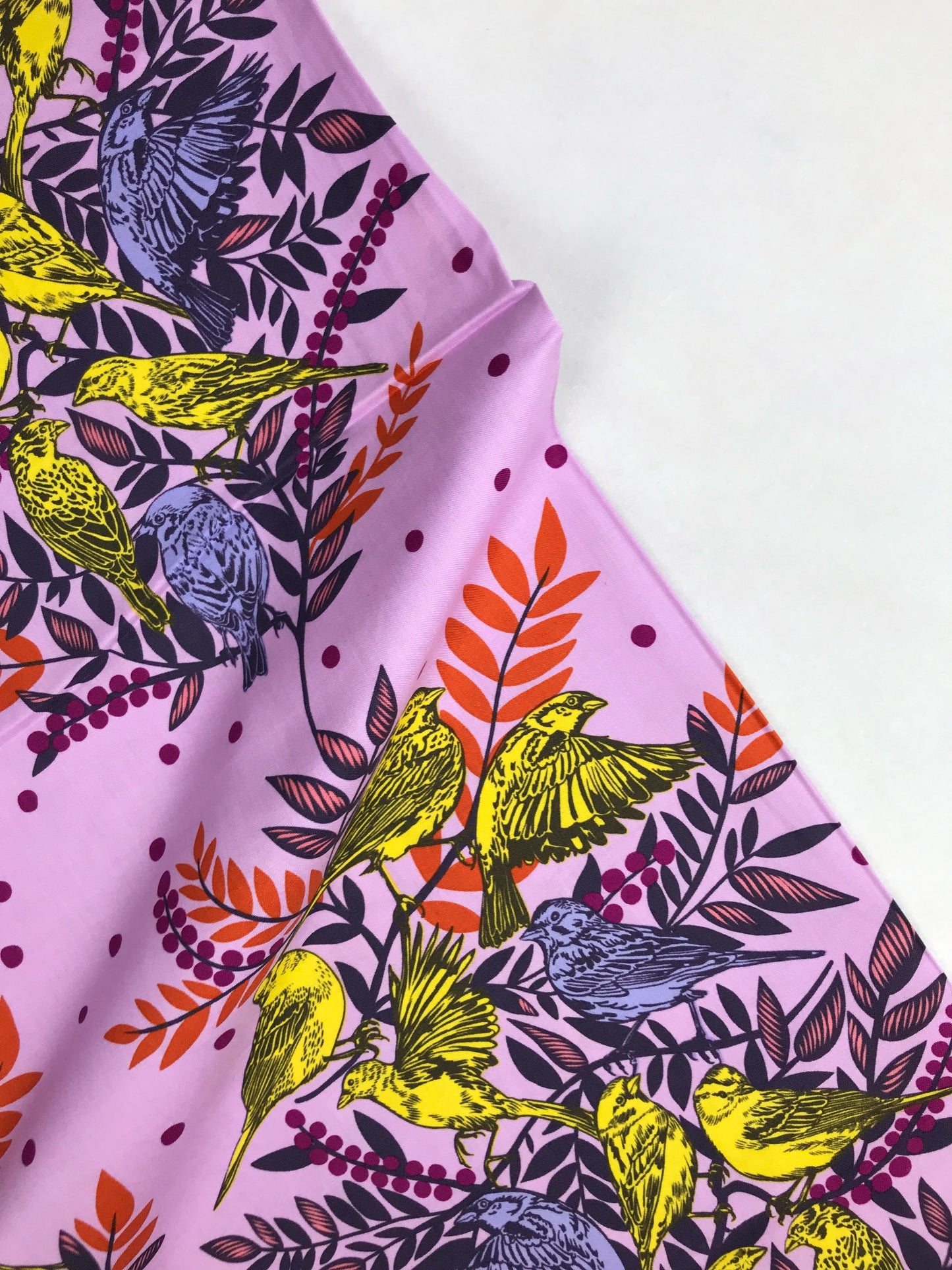 freespirit fabrics anna maria horner bright eyes fabric bundles 22pcs Fabric Fetish