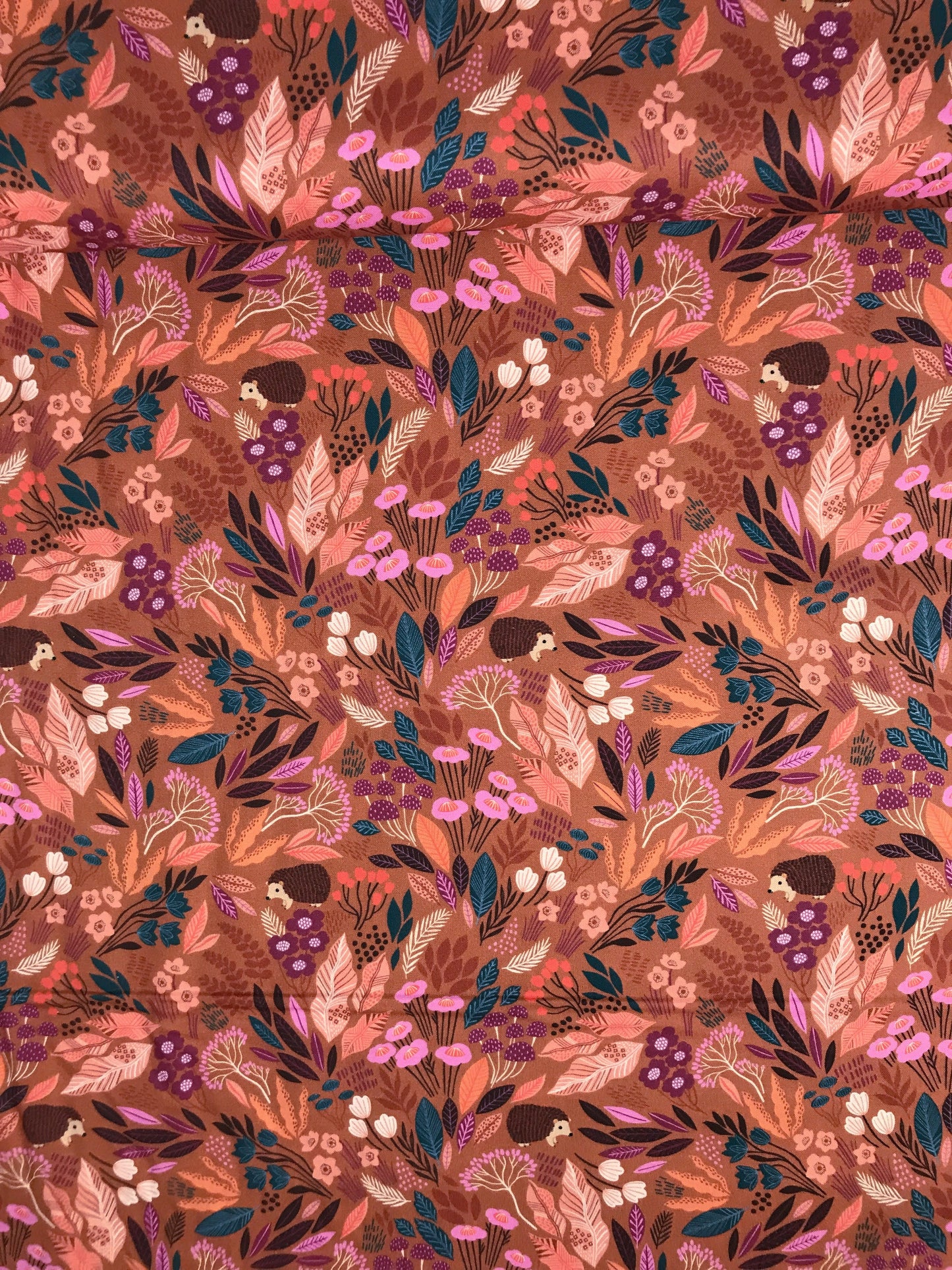 dashwood studio wild bethan janine hiding hedgehogs quilters cotton wild1925 Fabric Fetish