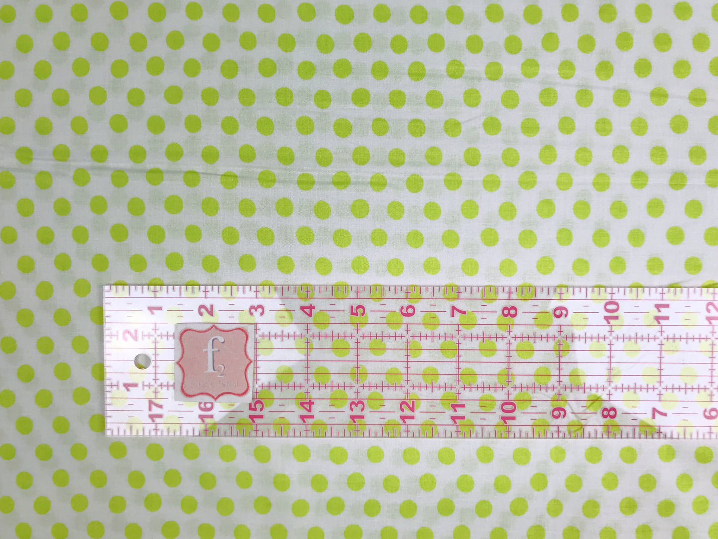 freespirit kaffe fassett spot sprout pwgp070 sprout Fabric Fetish