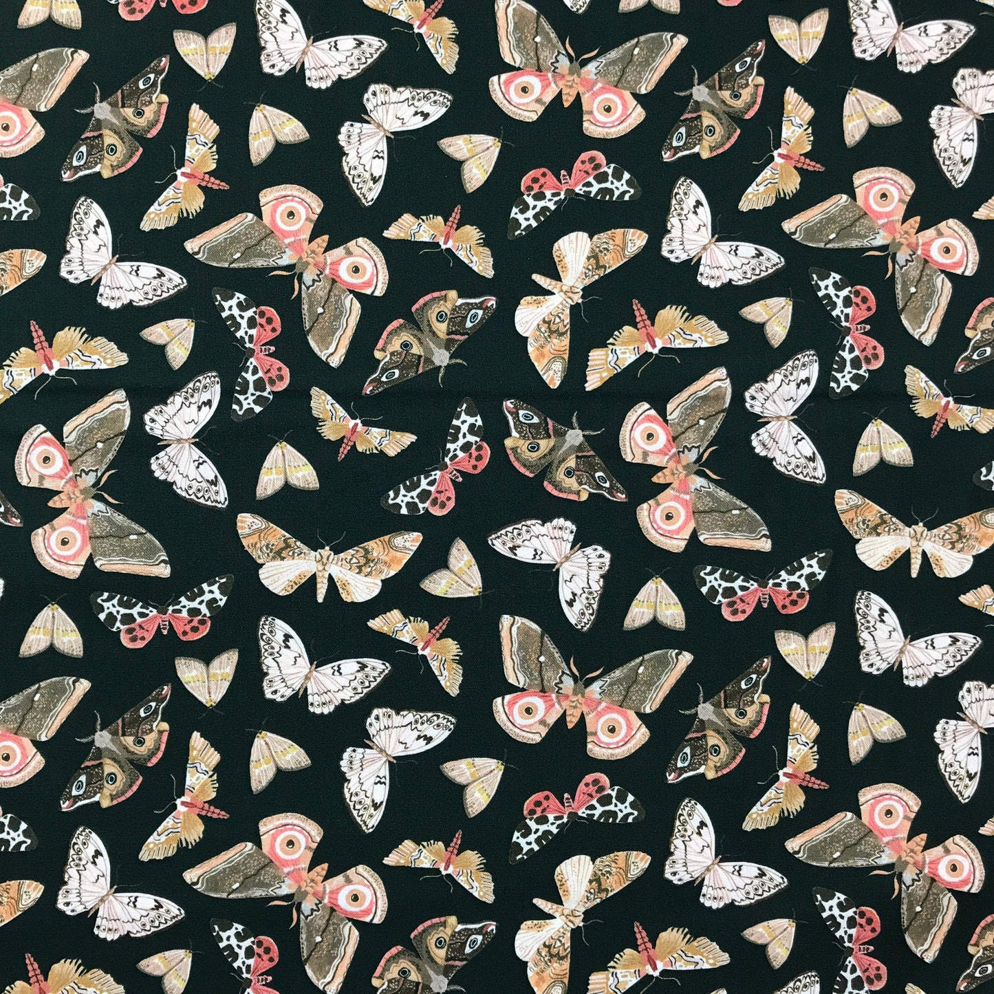 Dear Stella Rae Ritchie The Fae Moths Fabric Fetish