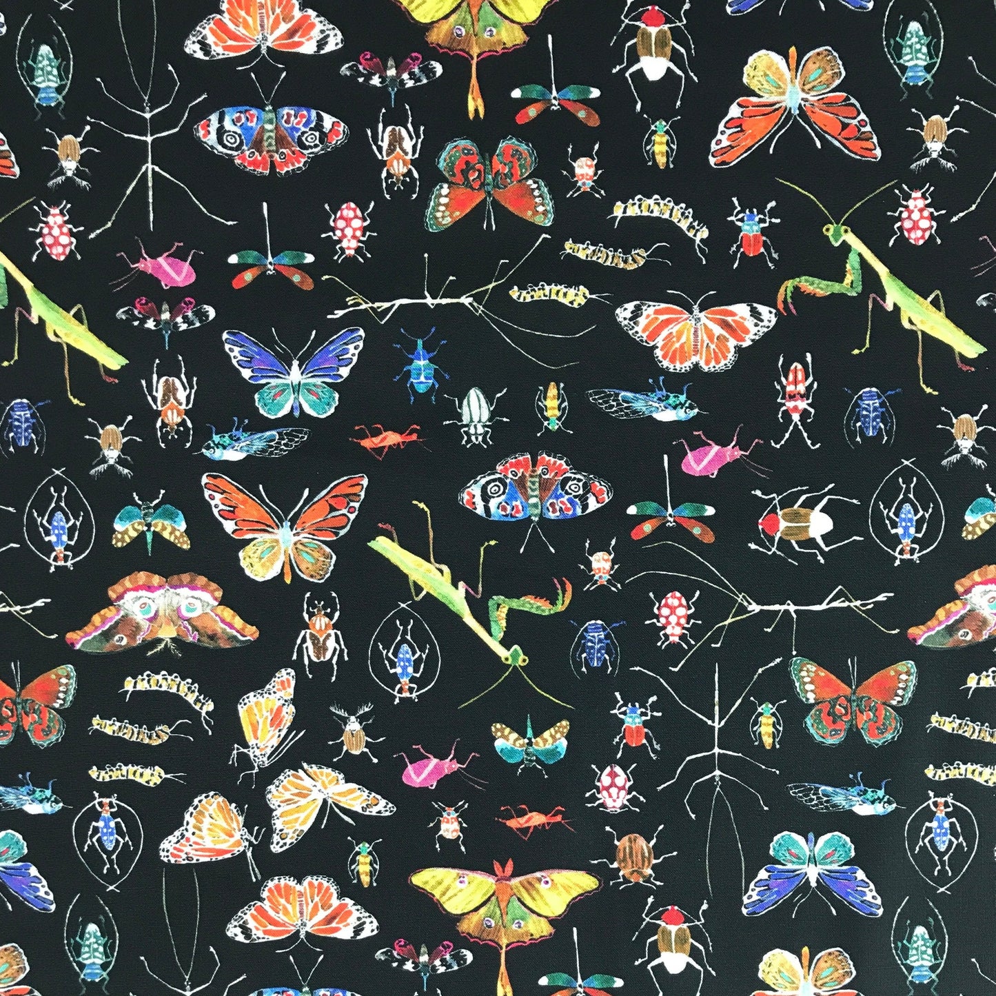 Bug Fabric Fetish
