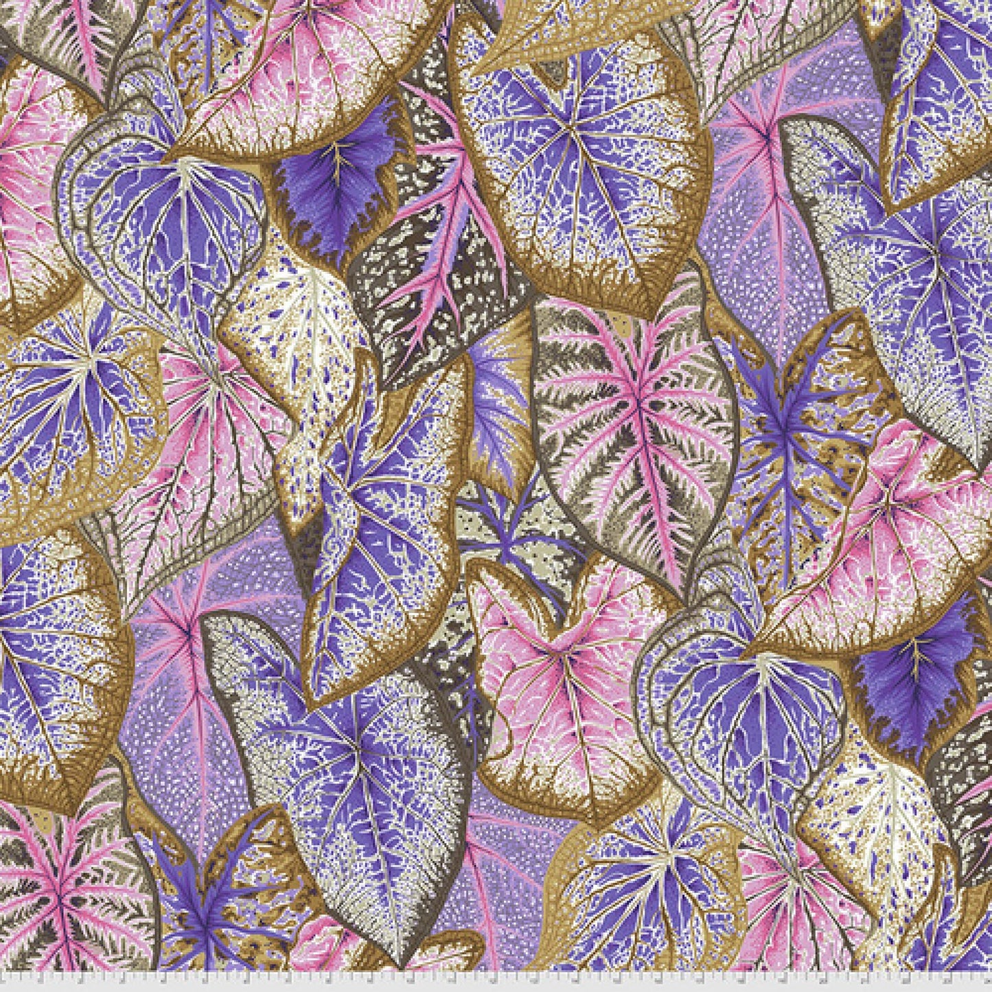 Caladiums Pastel Kaffe Fassett PWPJ108 Pastel 100% Quilters Cotton August 2021 Fabric Fetish
