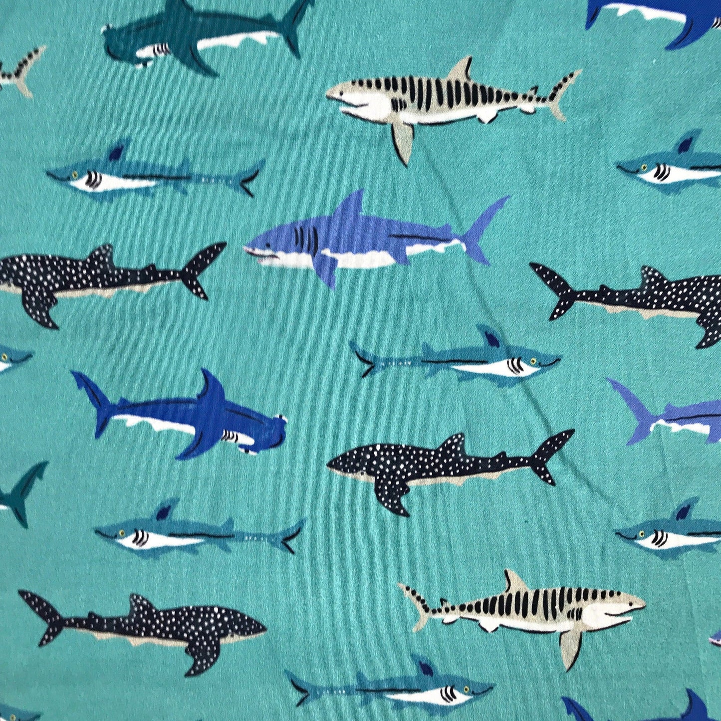 Sharks Aquatic Paradise Louise Cunningham Dashwood Studio Quilters Cotton 2100 AQUA Fabric Fetish