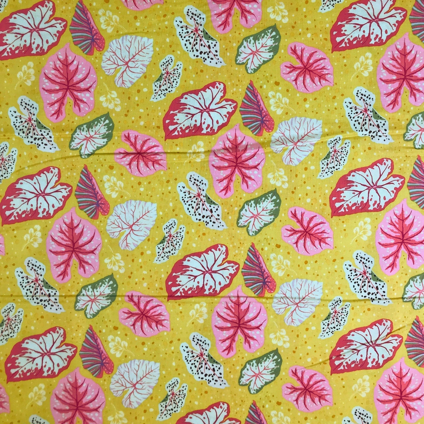 Paria Yellow Tabanca Tamara Kate Windham Fabrics 100% Quilters Cotton Fabric Fetish