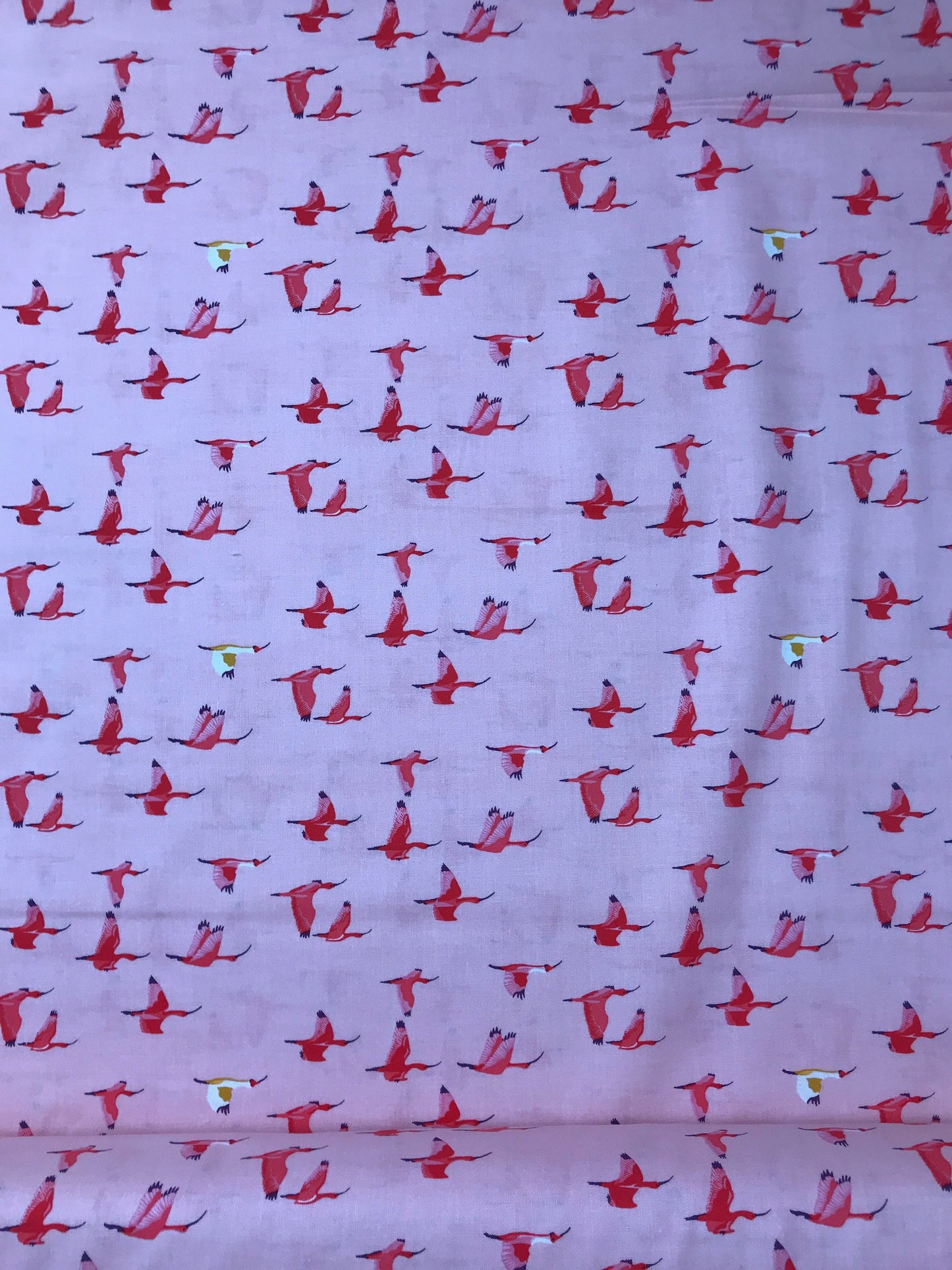 Caroni Pink Tabanca Tamara Kate Windham Fabrics 100% Quilters Cotton Fabric Fetish