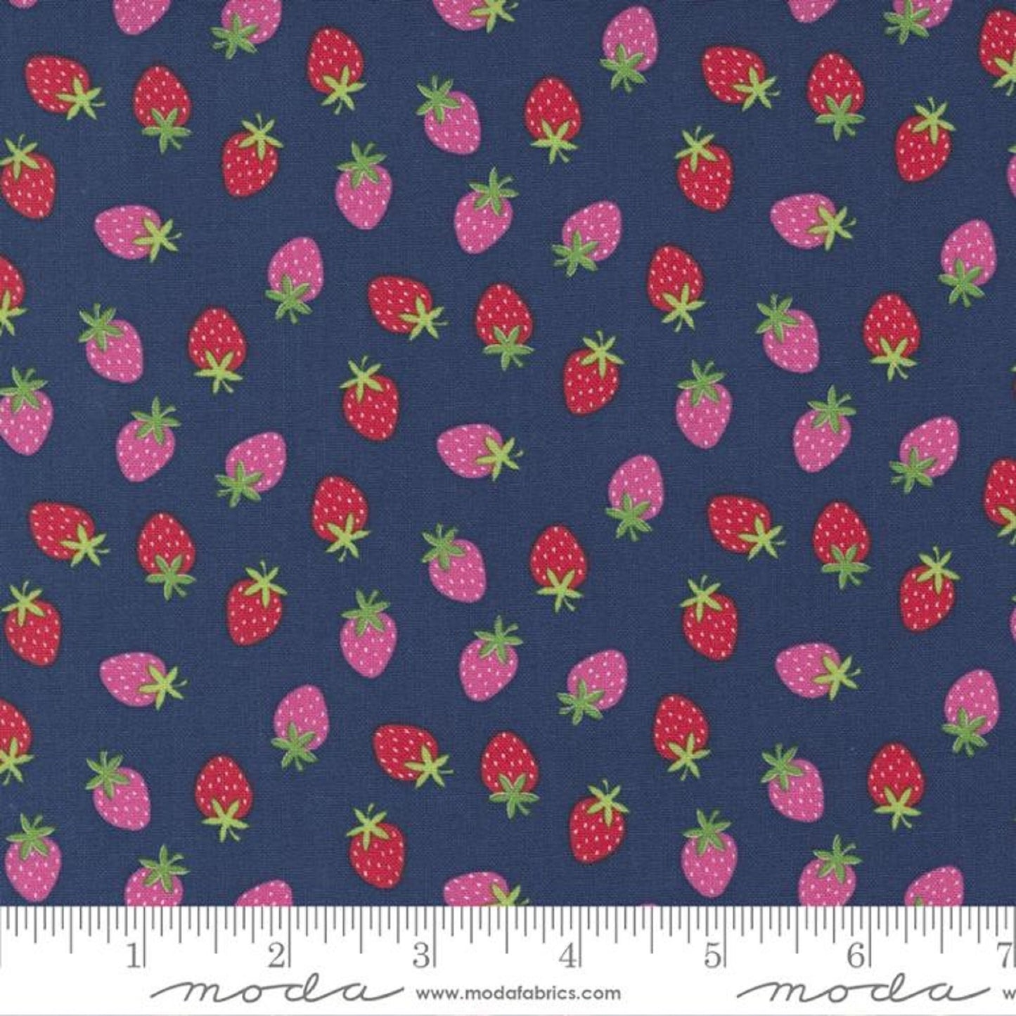 Merry Berry Blueberry Rainbow Garden Abi Hall Moda Quilters Cotton Fabric Fetish