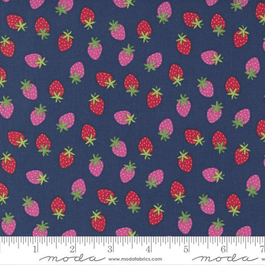 Merry Berry Blueberry Rainbow Garden Abi Hall Moda Quilters Cotton Fabric Fetish