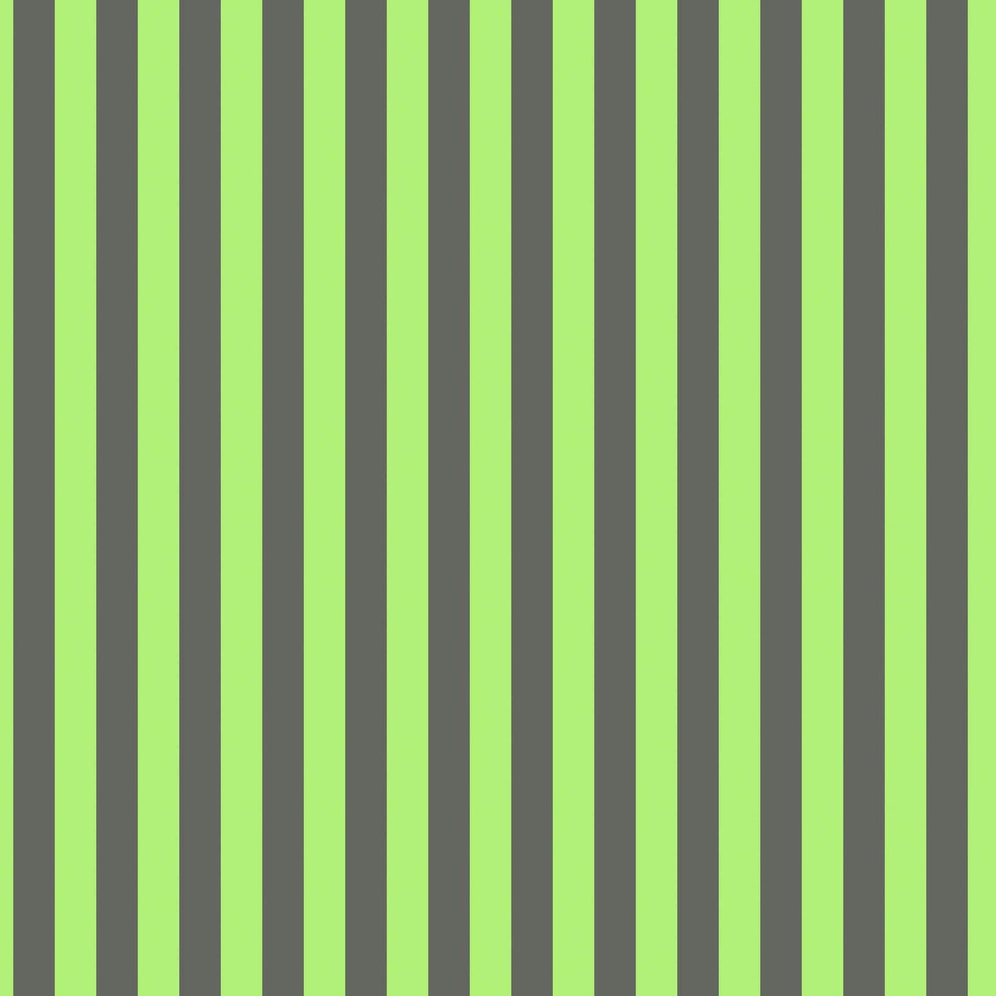Neon Tent Stripe Karma - True Colors Neon - Tula Pink - 100% Quilters Cotton
