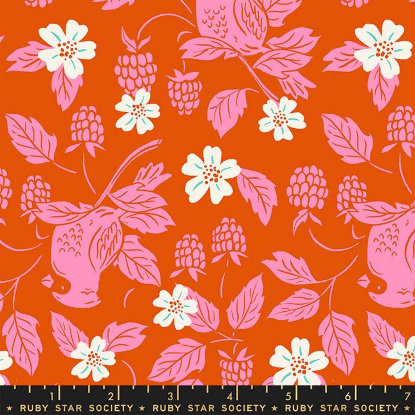 Cardinal Fire Backyard Sarah Watts Ruby Star Society Moda 100% Cotton Quilting Fabric Yardage Fabric Fetish