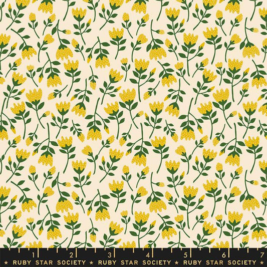 Roses Goldenrod Verbena Jen Hewett Ruby Star Society Fabric Moda 100% Quilters Cotton RS6037 12 Fabric Fetish