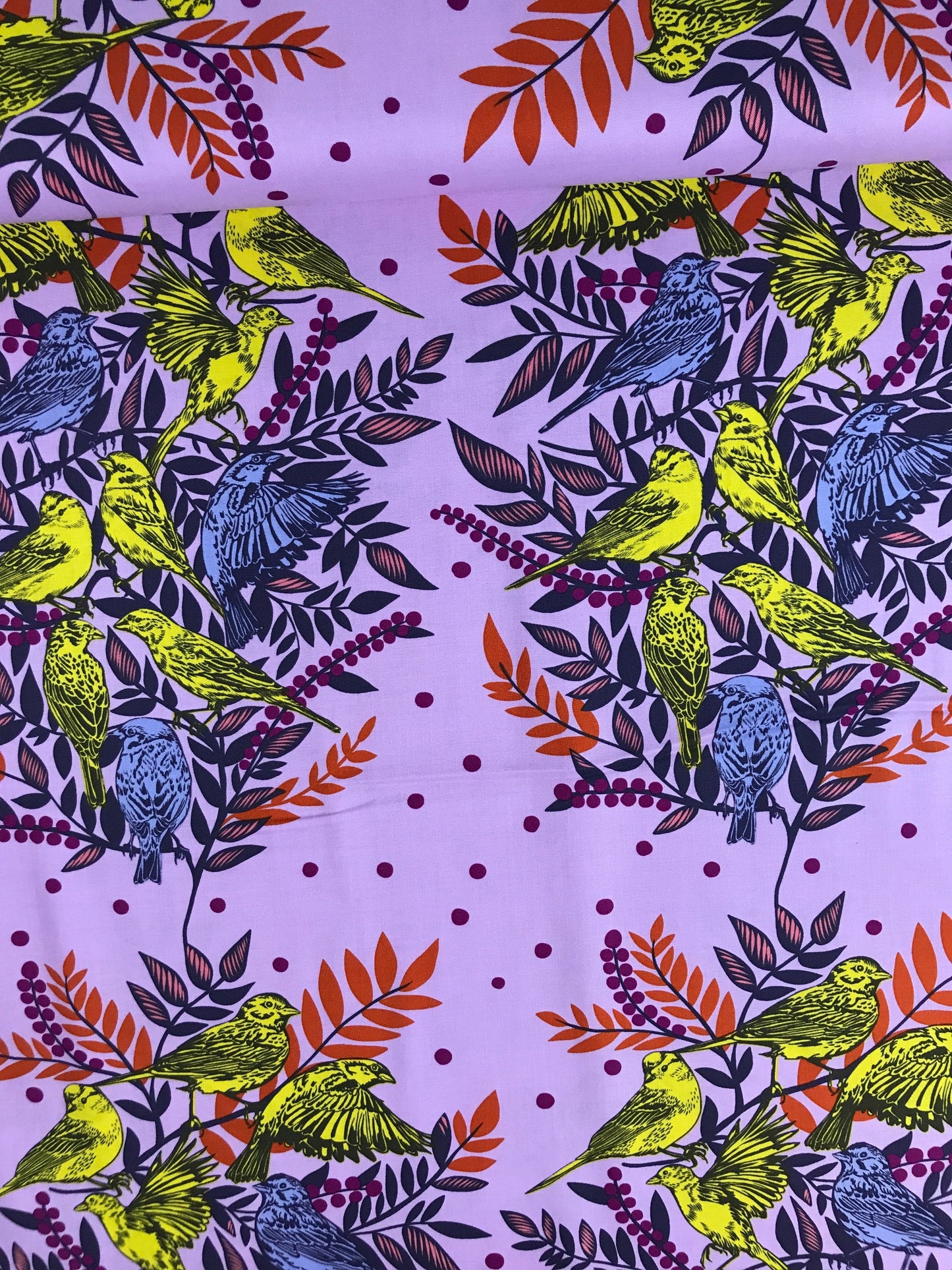 freespirit fabric anna maria horner bright eyes visitation lilac Fabric Fetish