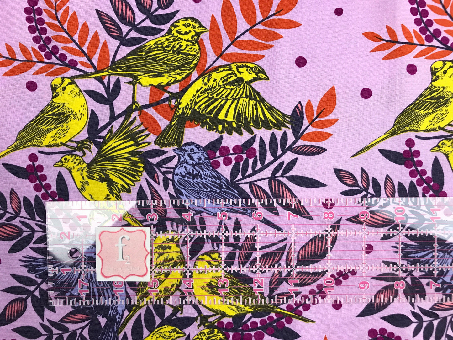 freespirit fabric anna maria horner bright eyes visitation lilac Fabric Fetish