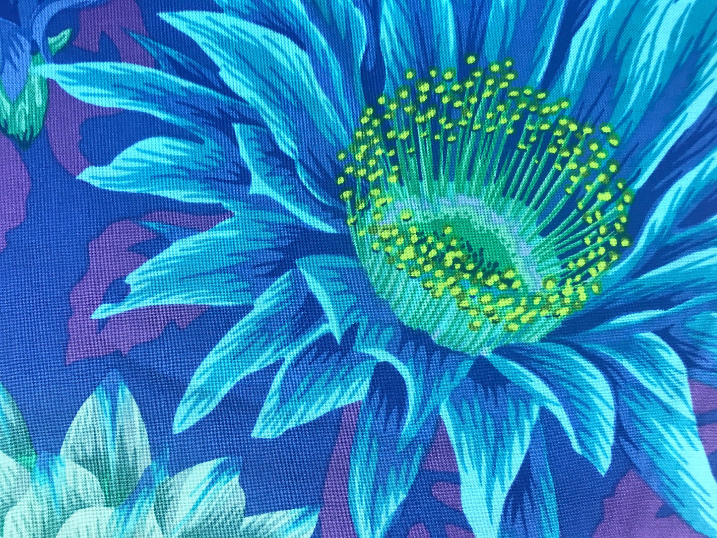 Cactus Flower Blue - Kaffe Fassett Collective - FreeSpirit Fabric