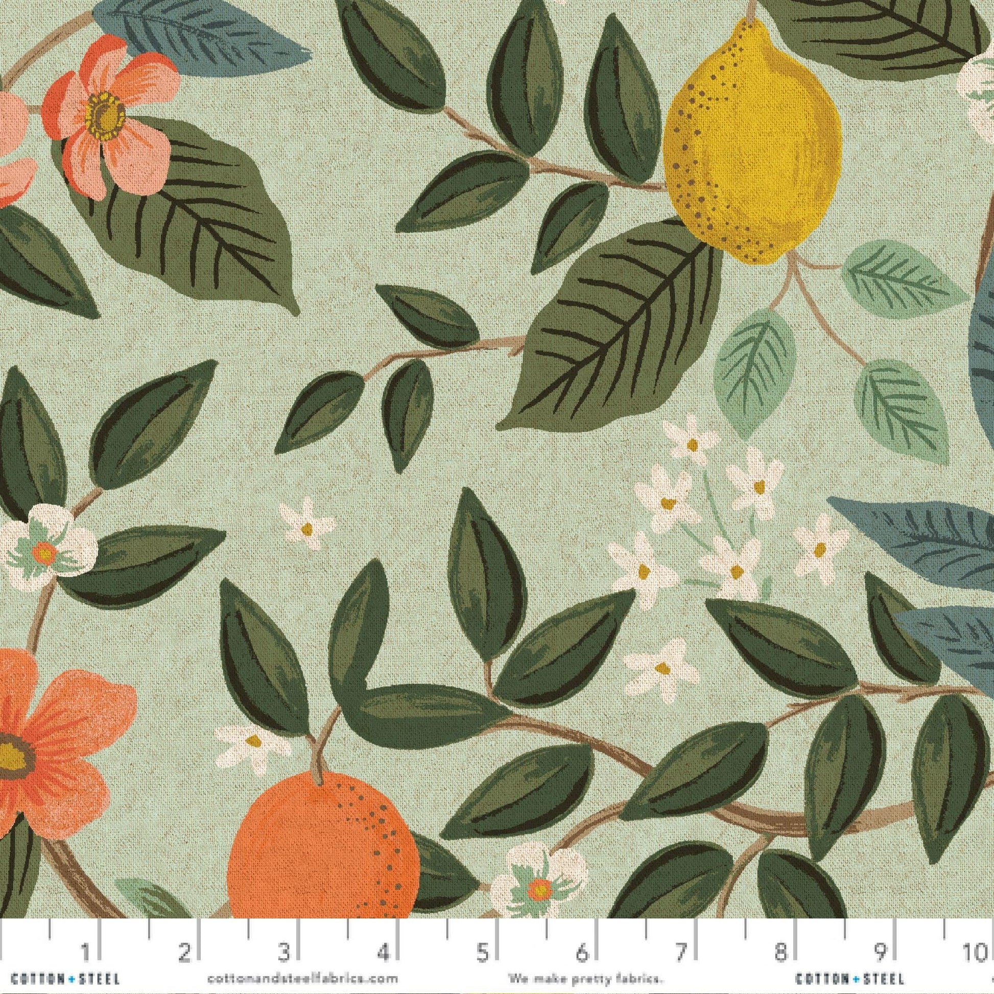 Citrus Grove Mint Unbleached Cotton/Linen CANVAS Bramble Anna Bond Rifle Paper Co Cotton + Steel Fabric Fetish