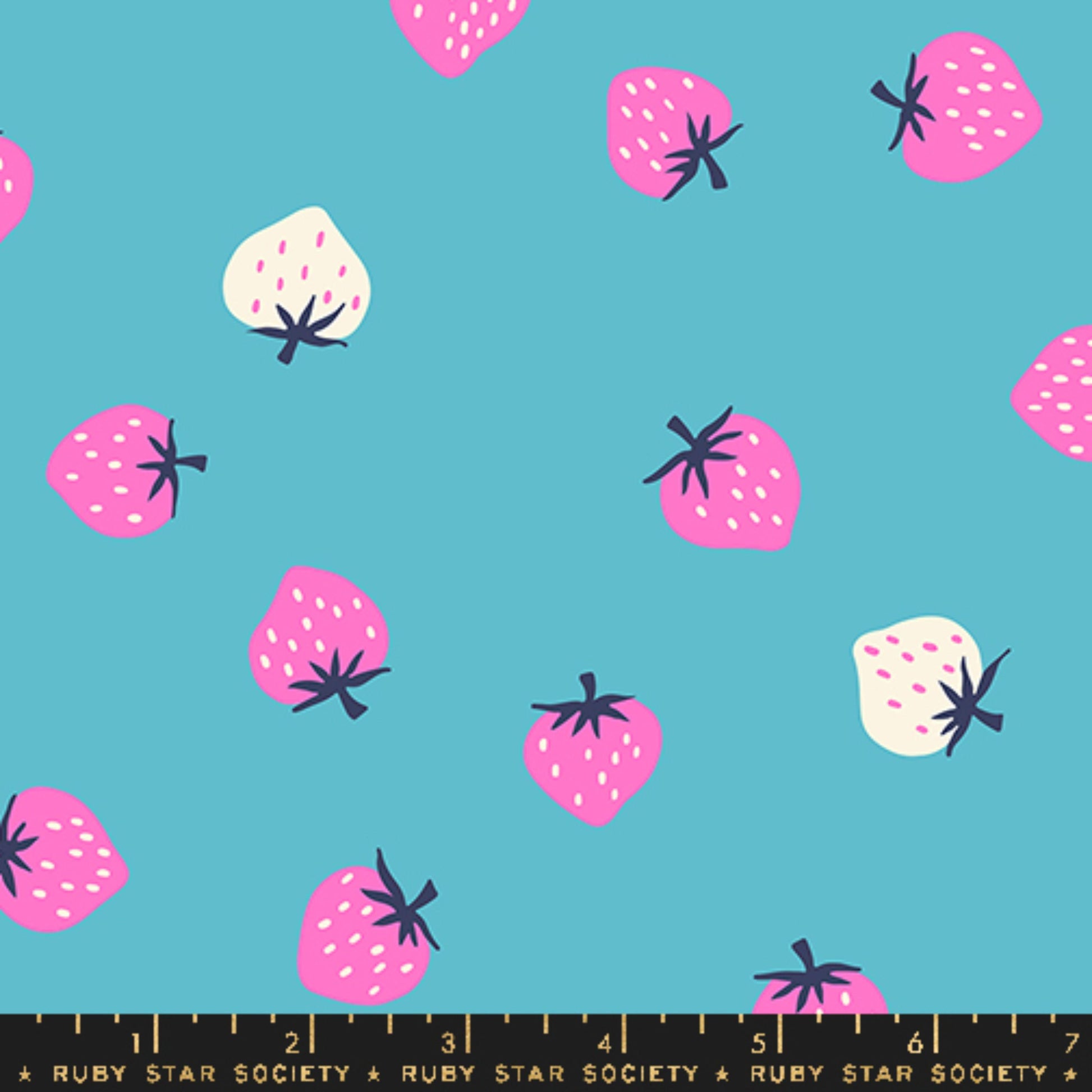 Strawberry Toss Turquoise Strawberry Kimberly Kight Ruby Star Society Moda Fabric Fetish