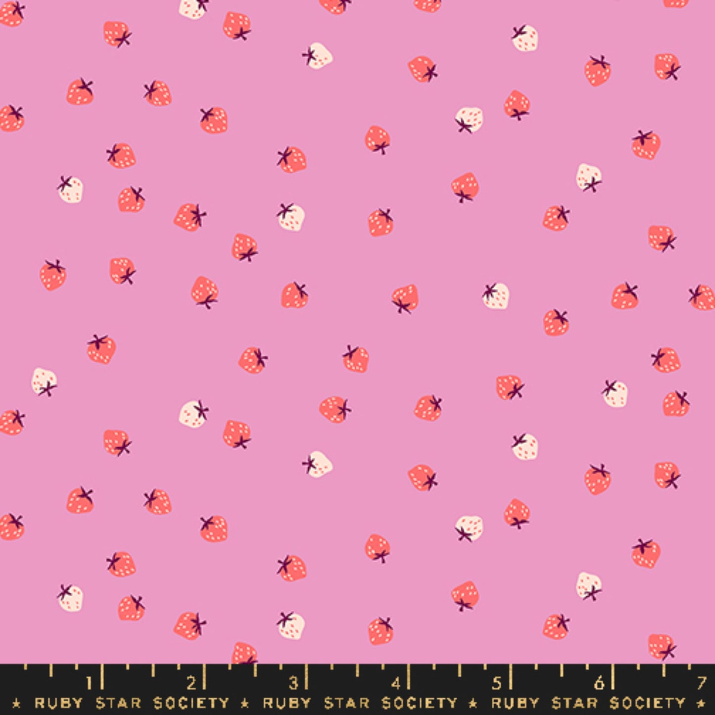 Mini Berry Daisy Strawberry Kimberly Kight Ruby Star Society Moda Fabric Fetish