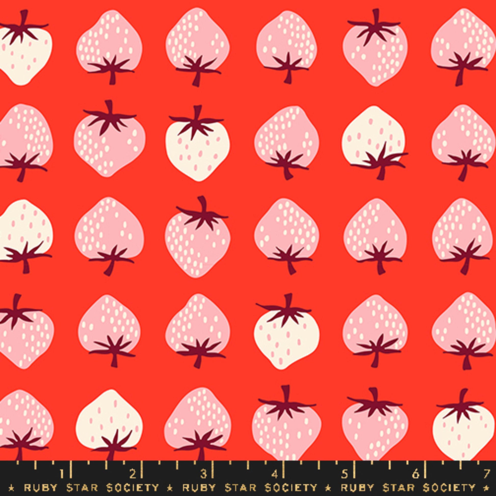 Strawberry Row Lollipop Strawberry Kimberly Kight Ruby Star Society Moda Fabric Fetish