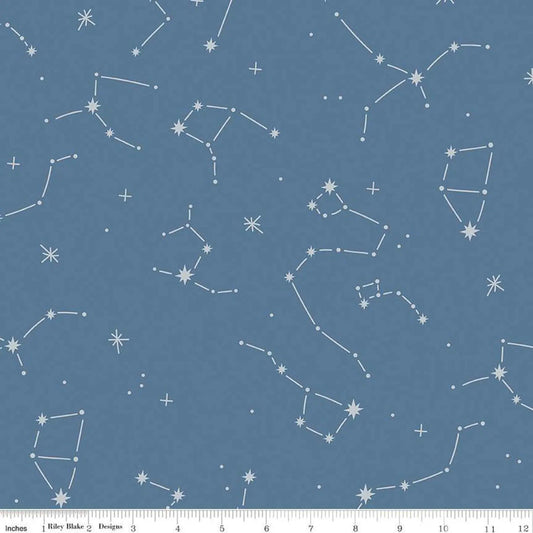 108" Constellation Denim - Hoist the Sails - Citrus and Mint - Riley Blake Designs Fabric
