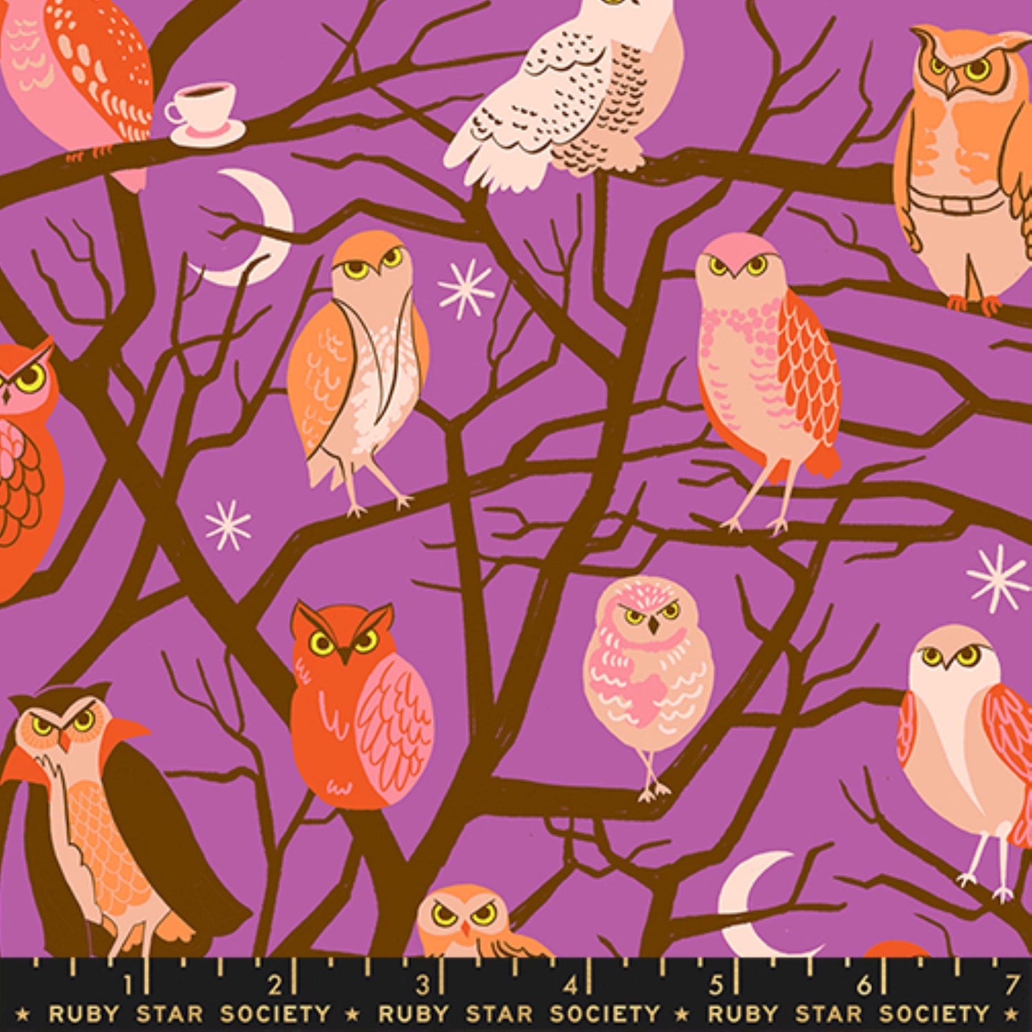 Who Cooks for You Witchy Freaky Familiars Ruby Star Society Fabric Moda Fabric Fetish