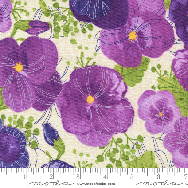 Pansy's Posies - Main Pansy Cream - Robin Pickens- Moda 100% Quilters Cotton