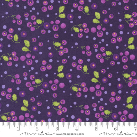 Pansy's Posies - Blender Dot Amethyst - Robin Pickens- Moda 100% Quilters Cotton