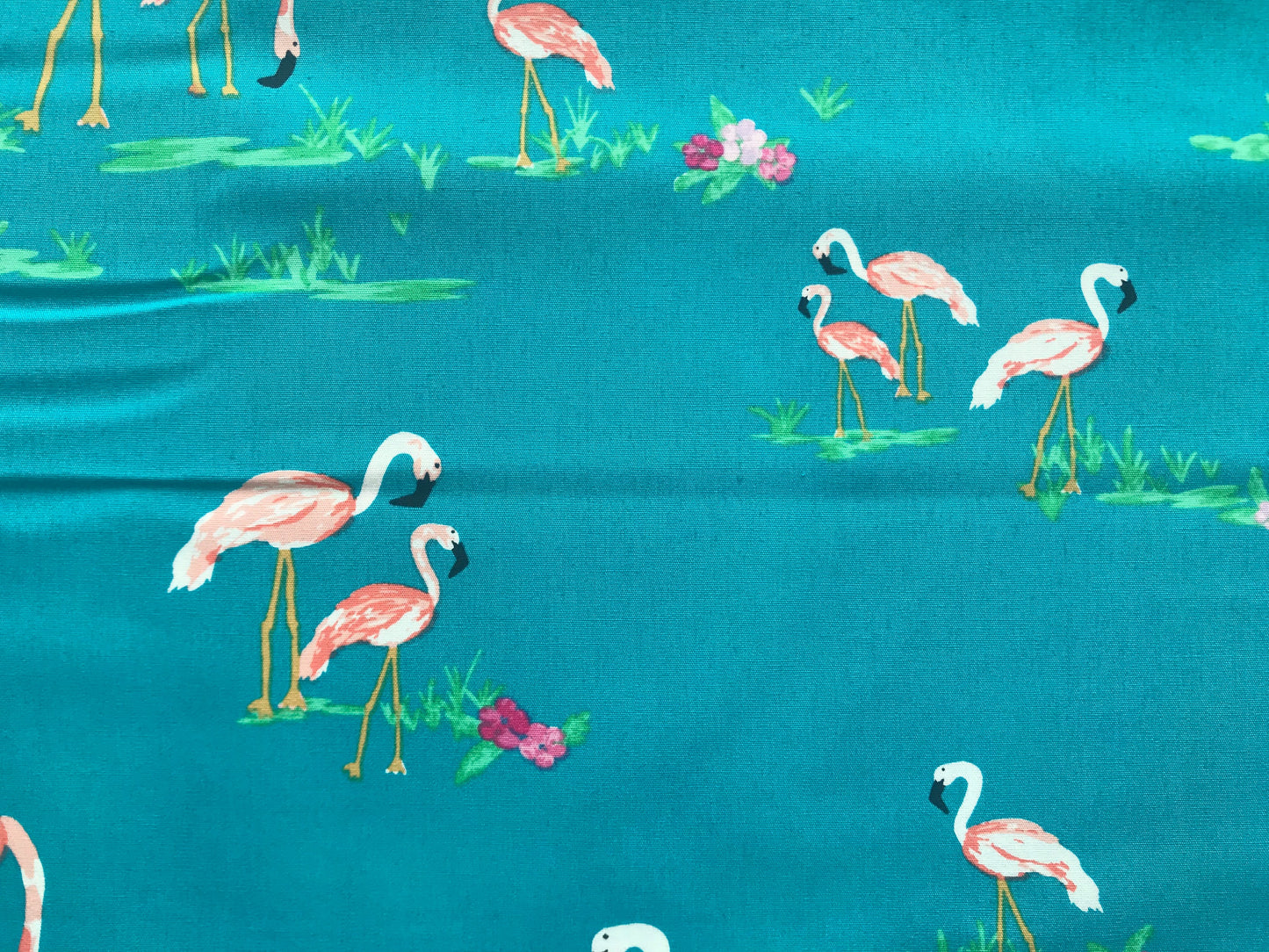 art gallery west palm katie skoog flamingo field marina quilters cotton Fabric Fetish