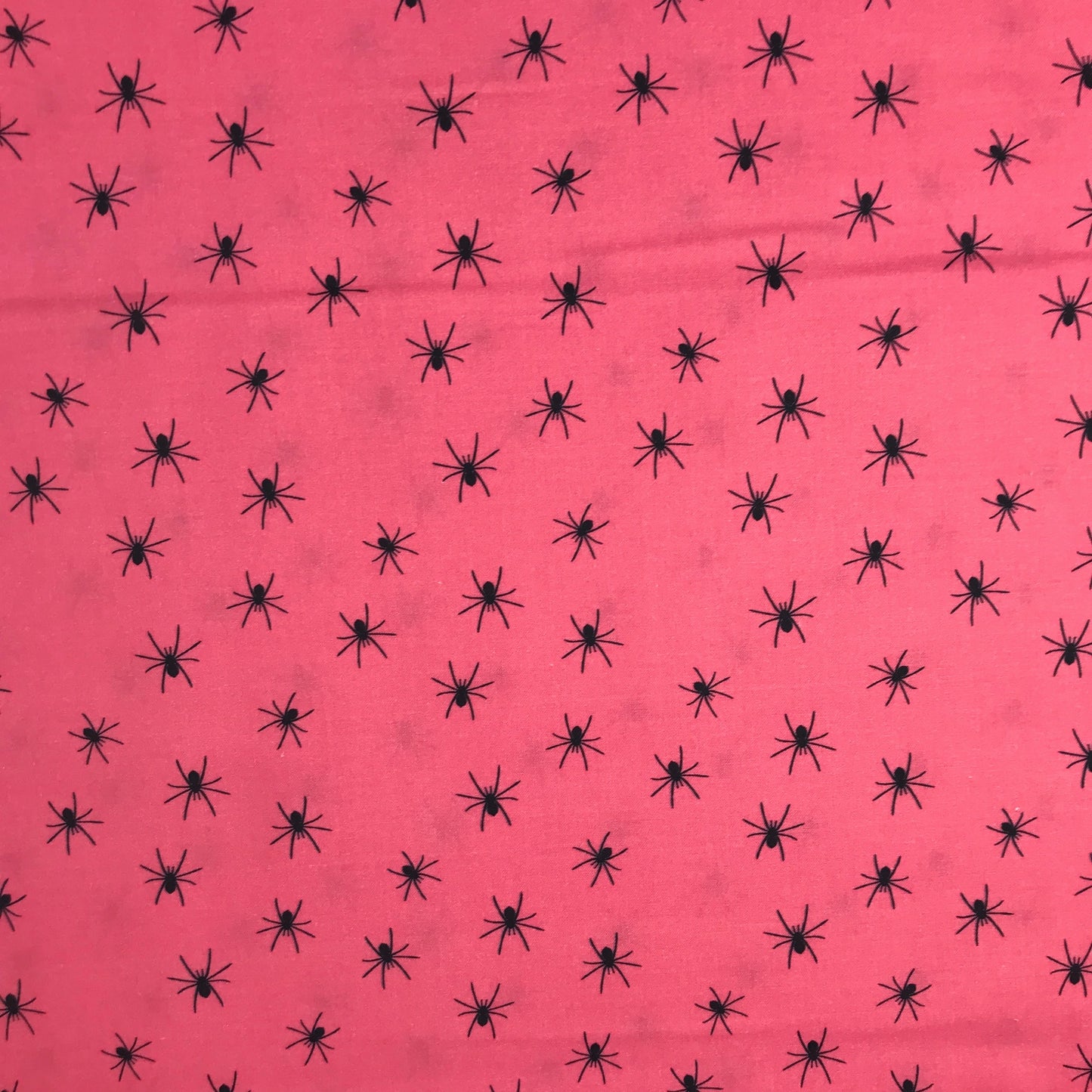 paintbrush studio fabric teresa chan drop dead gorgeous spiders pink quilters cotton Fabric Fetish