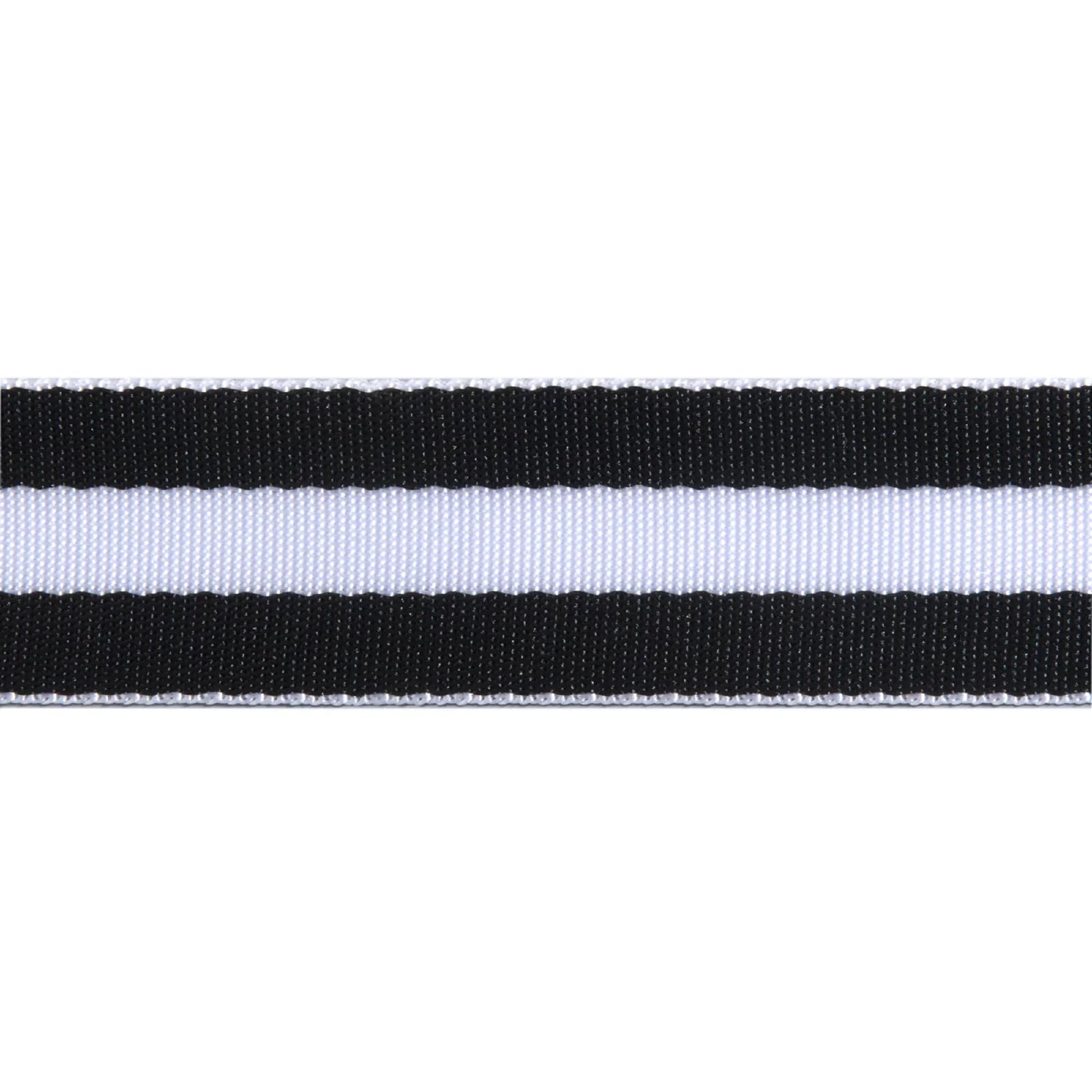 Tula Pink Nylon Webbing 1.5 Inch 38mm Black and White Renaissance Ribbons Fabric Fetish